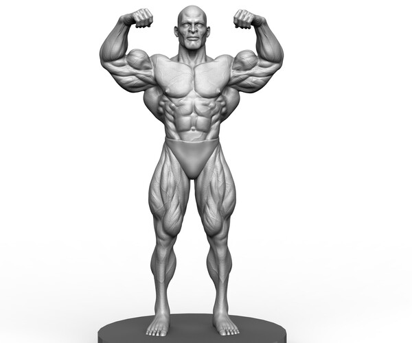 Jay Cutler Mr Olympia Figure With Stand 34cm Height Dark 