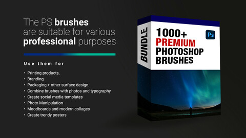 1000+ Premium Photoshop Brushes