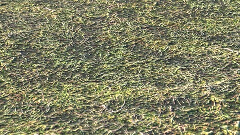 Grass 34 PBR Material