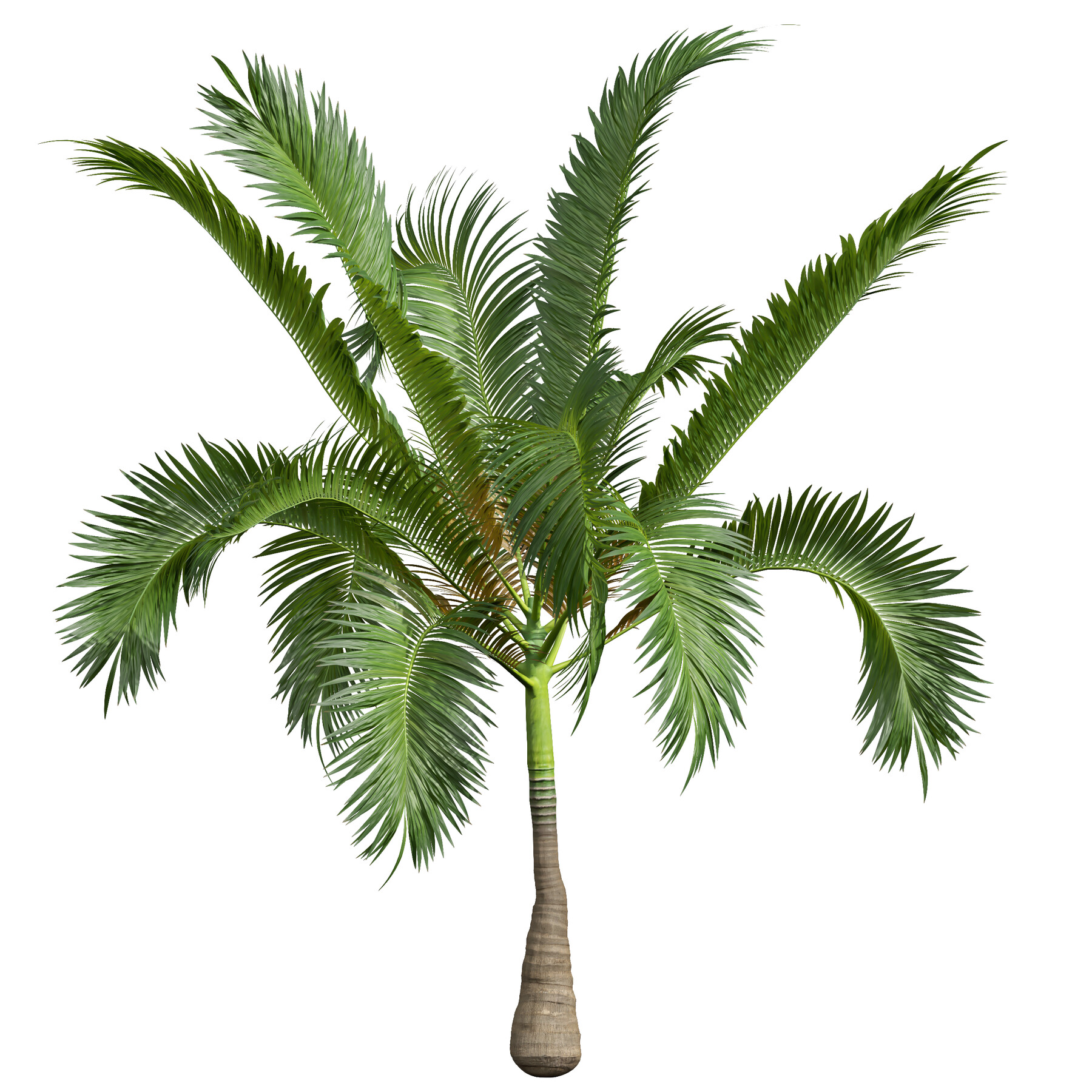 ArtStation - New Plant High detail Areca Catechu Small | Resources