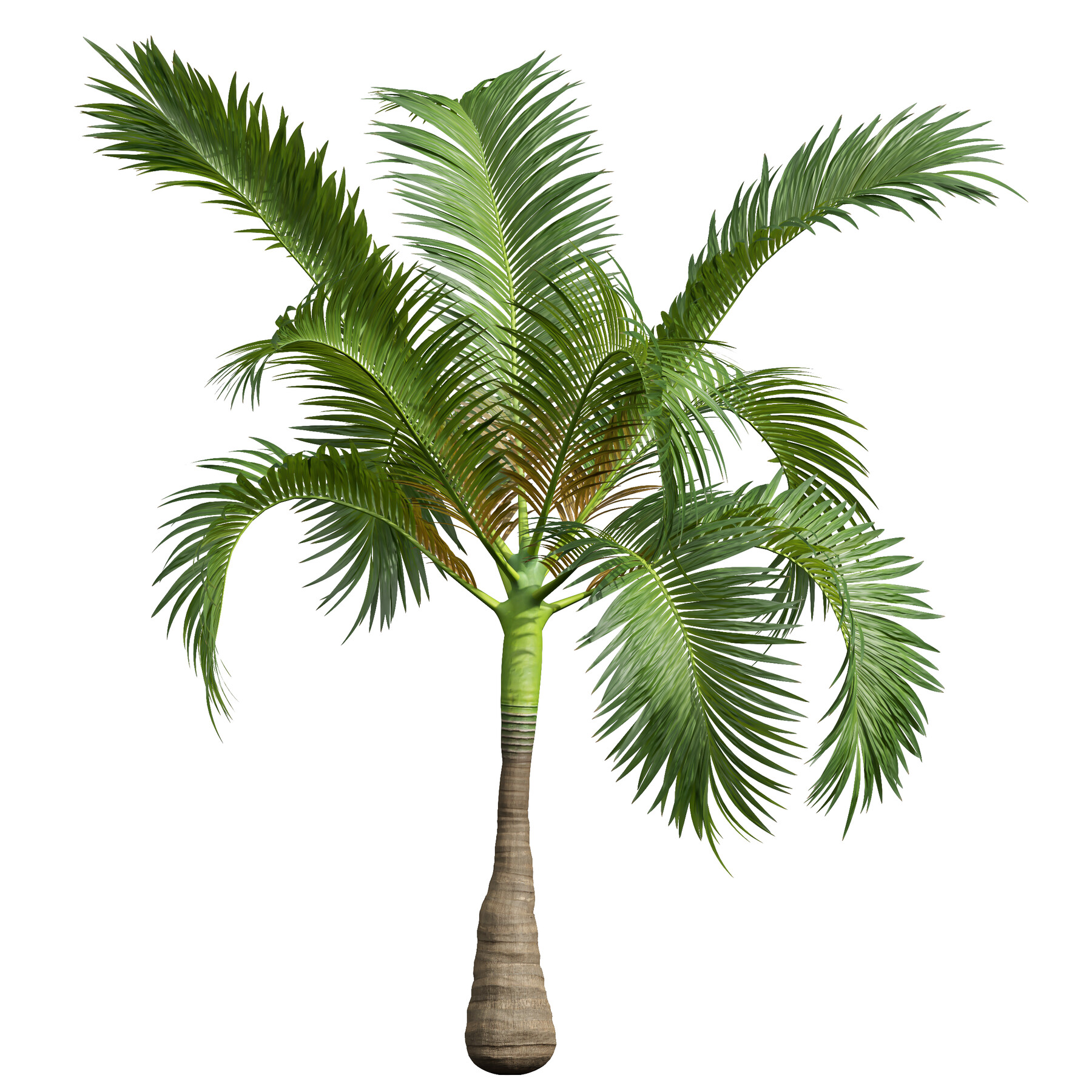 ArtStation - New Plant High detail Areca Catechu Small | Resources