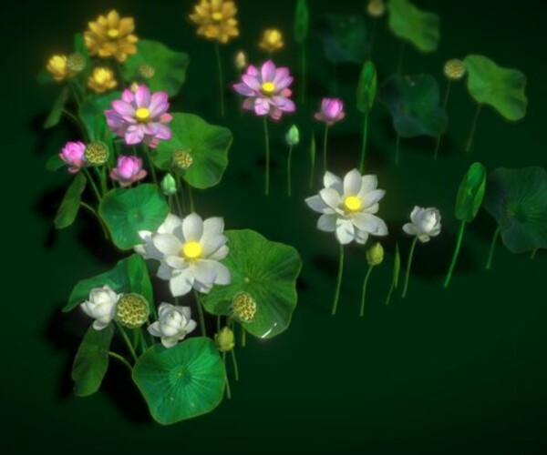 ArtStation - Flower Nelumbo Nucifera | Game Assets