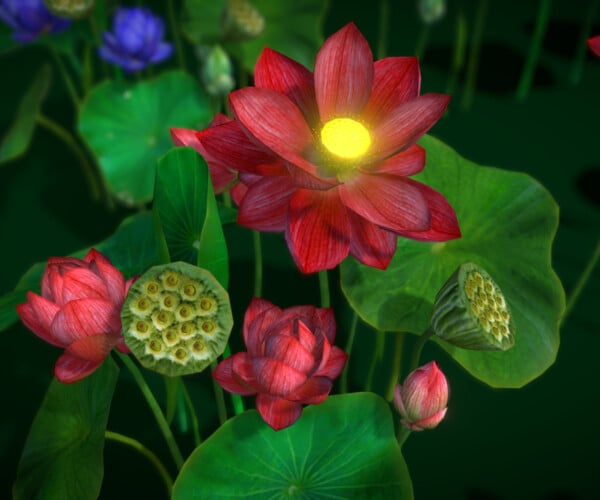 ArtStation - Flower Nelumbo Nucifera | Game Assets