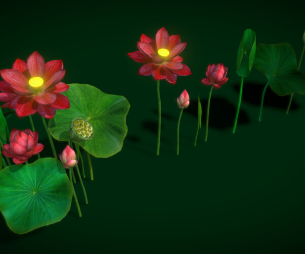 ArtStation - Flower Nelumbo Nucifera | Game Assets