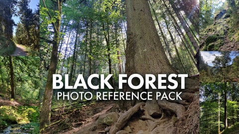 Black Forest Photo Reference Pack