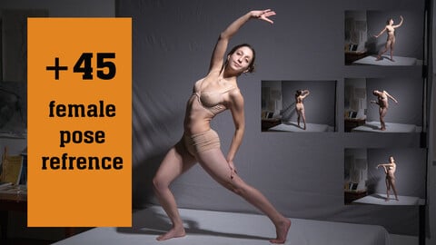 45+ Female Pose Reference Pictures