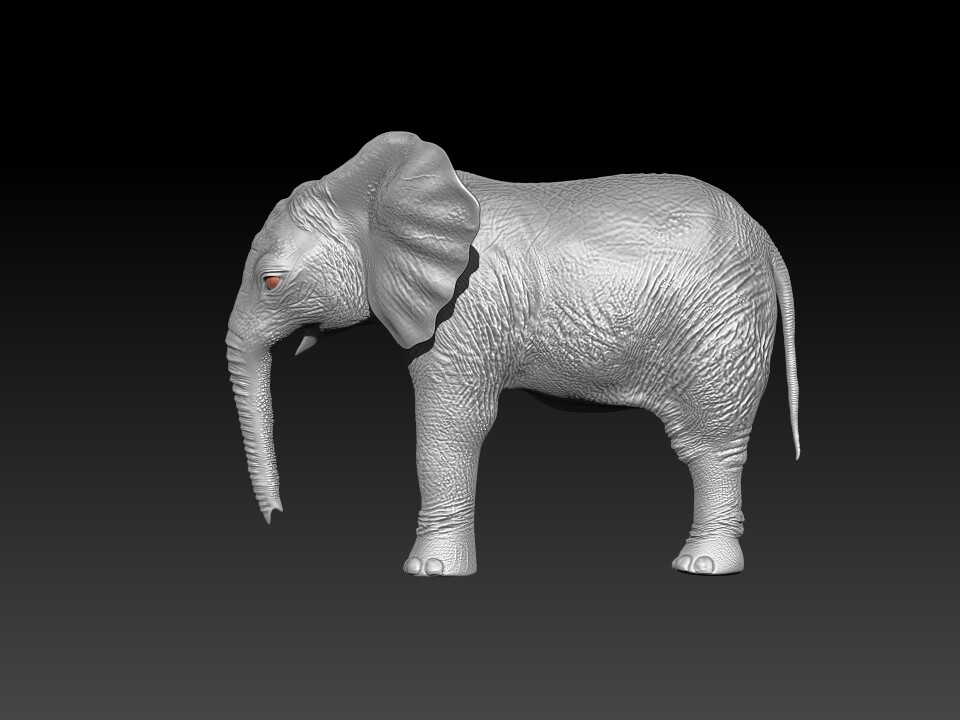 ArtStation - Fur Baby Elephant Rigged and Animation in Blender | Game ...