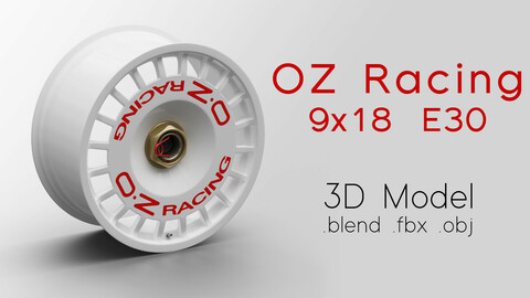 OZ Racing Magnesium Rim/Wheel DTM E30 3D Model