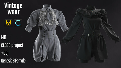 Vintage Wear. Marvelous Designer / Clo 3D project +obj / fbx