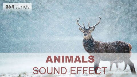 Animal Sound Effects