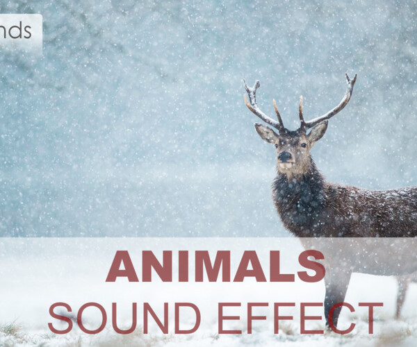 ArtStation Animal Sound Effects Game Assets