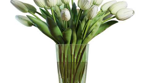 Flower Set 17 / White Tulips Bouquet