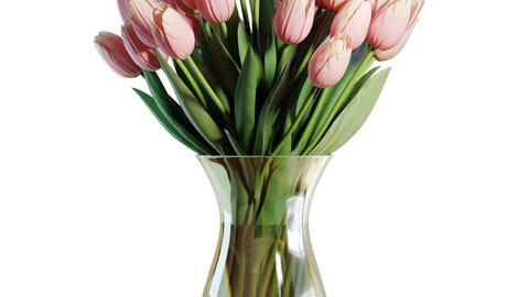 3D model / Flower Set 18 / Pink Tulips Bouquet