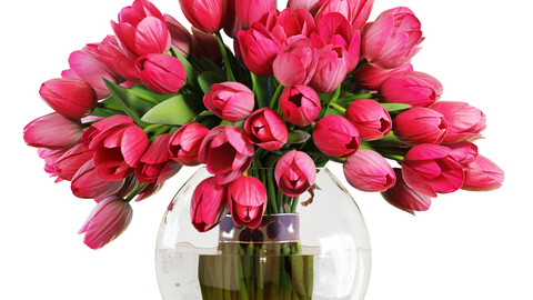 3D model / Flower Set 19 / Pink Tulips Bouquet