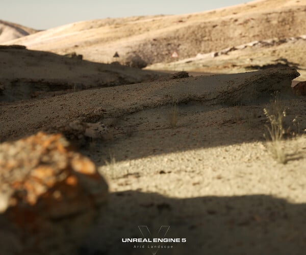 ArtStation - Arid Landscape (UE5 NANITE) | Game Assets