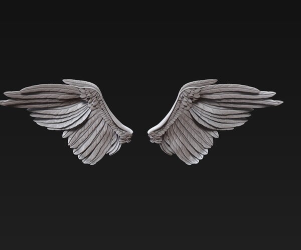 ArtStation - Wings 3D model High poly and low poly . | Game Assets