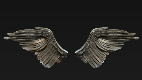 Wings 3D model High poly and low poly .