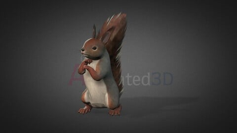 Squirrel-Idle1