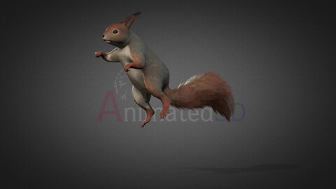 Squirrel-Jump