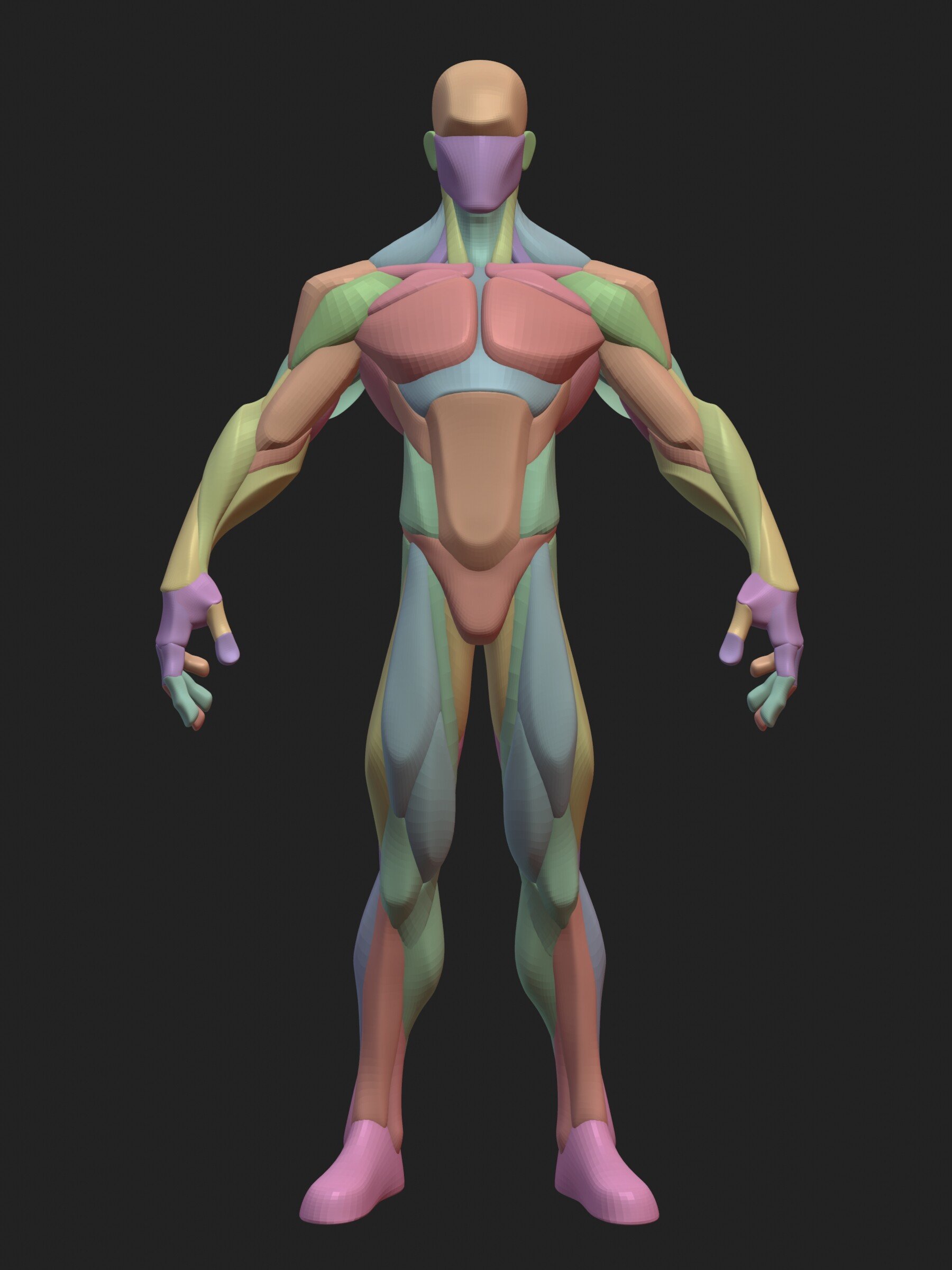 Artstation Stylized Average Anatomy Blockout Resources