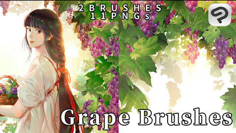 2 Grape(Grape leaf ) Brushes for ClipStudioPaint/11 PNG images