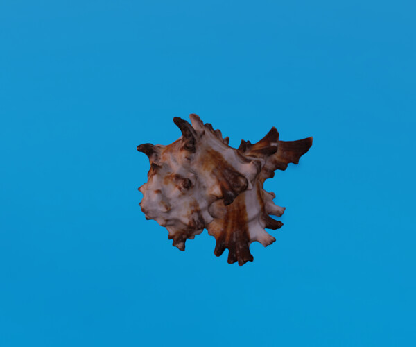 product thumbnail 7