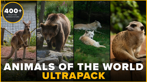 400+ Animals Of The World Reference Pictures Ultrapack - Bears, Wolves, Kangaroos, Reptiles, Elephants