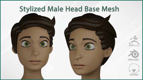 Male Head Stylized Base mesh with Hair in blender curve
