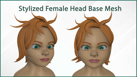 Female Head Stylized Base mesh with Hair in blender Curve