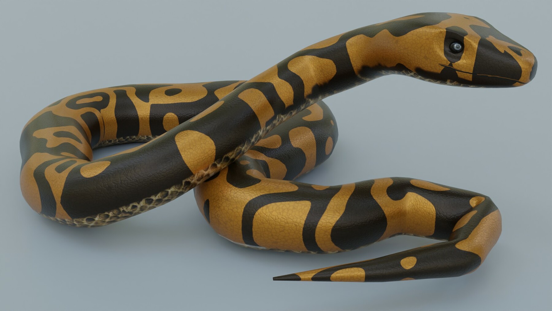 Snake Python 3d Model