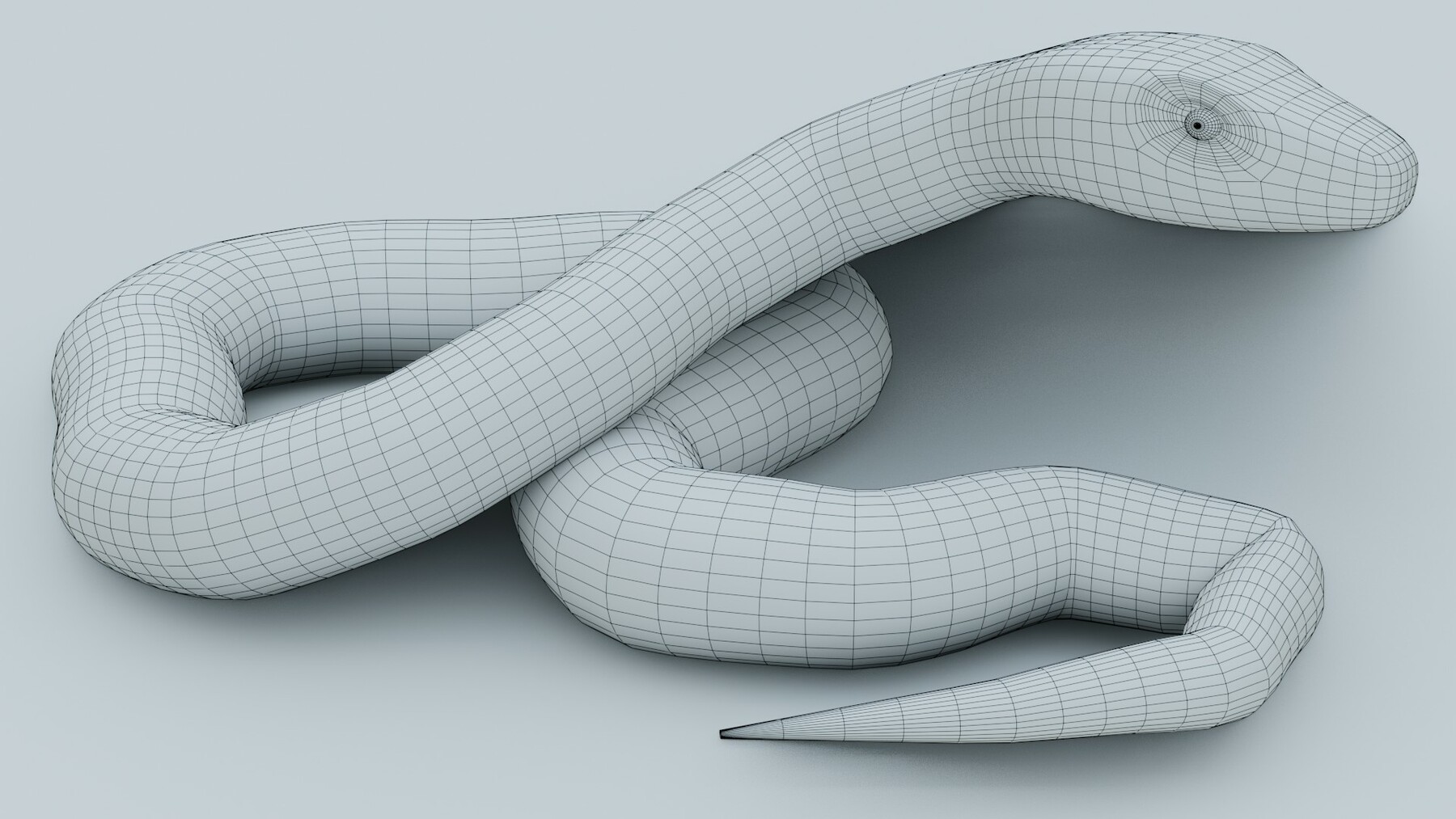 ArtStation - Python Snake - Rigged - Game Ready - PBR | Game Assets