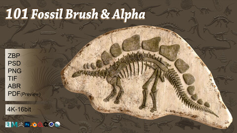 101 Fossil brush & alpha