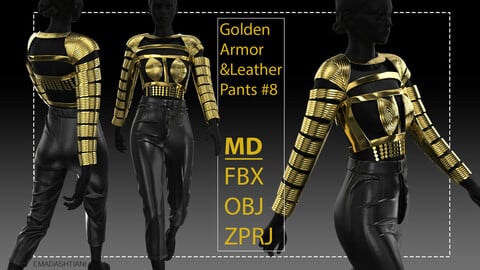 Golden Armor & Leather Pants #8