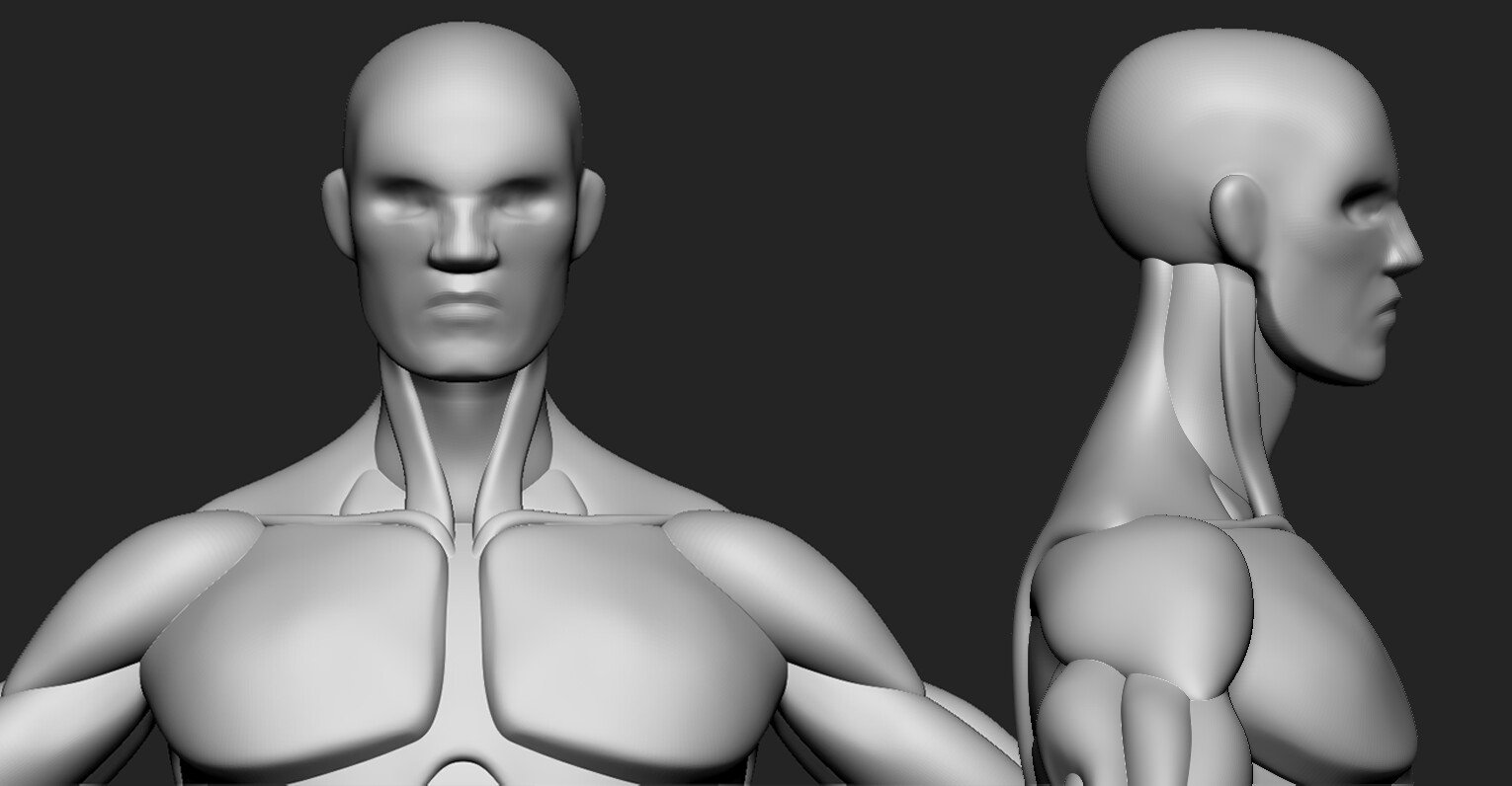 Artstation Male Base Mesh Resources