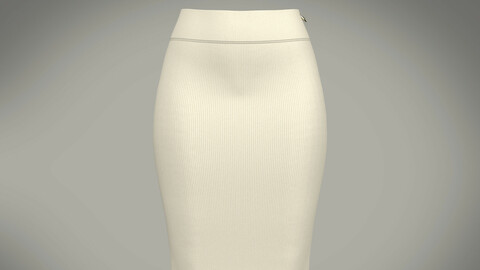 Ladies corporate skirt
