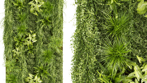 Collection plant vol 386 - fitowall - ertical - leaf - palm - grass - fern - blender - 3dmax - cinema 4d