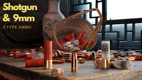 Shotgun & 9mm Ammo