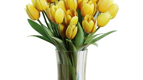 3D Model / Flower Set 26 / Yellow Tulips Bouquet