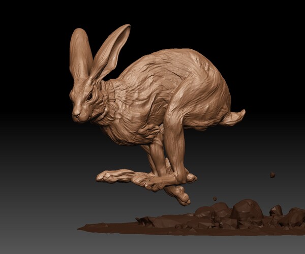 ArtStation - Rabbit/Hare BaseMesh and 3d printable model | Resources
