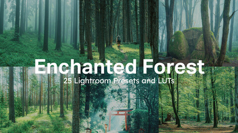 25 Enchanted Forest Lightroom Presets and LUTs