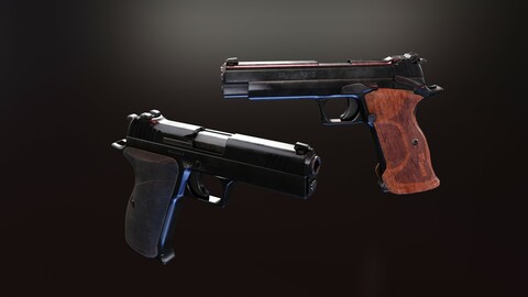 Sig P210 Carry and Target