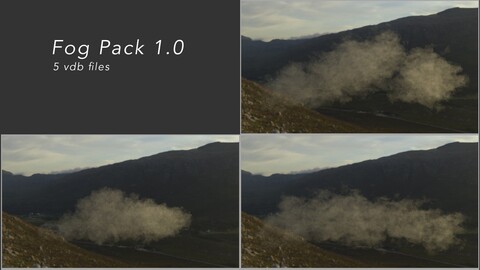 Fog Pack 1.0 VDB