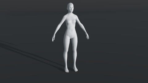 Female Body Base Mesh 28 Animations 3D Model