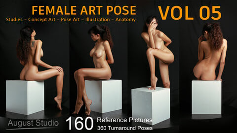 Female Art Pose - Vol 05 - Reference Pictures