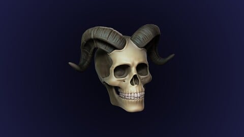 Skull With Horn