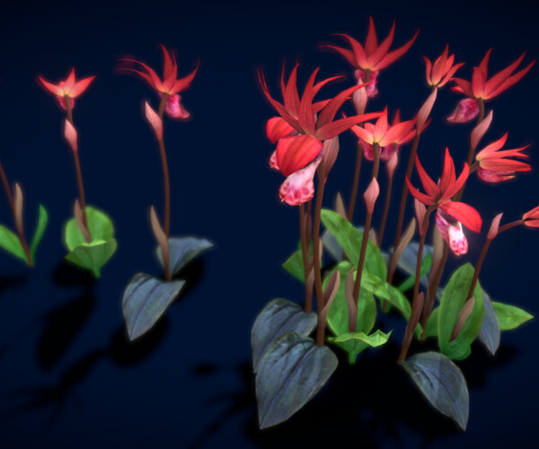 ArtStation - Flower Calypso Bulbosa | Game Assets