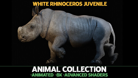 Juvenile White Rhinoceros - Animal Collection [UE4] [UE5]