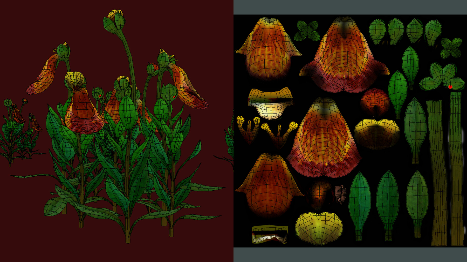 ArtStation Flower Calceolaria Uniflora Game Assets