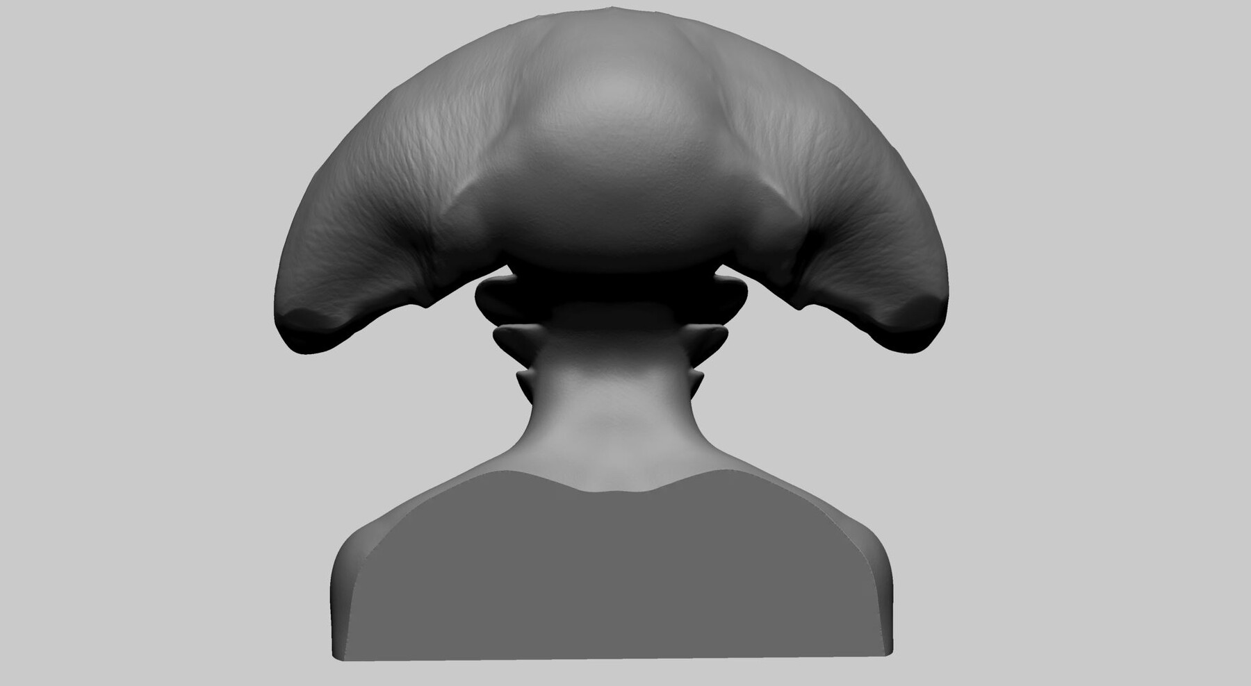 ArtStation Fantasy Female Bust Resources