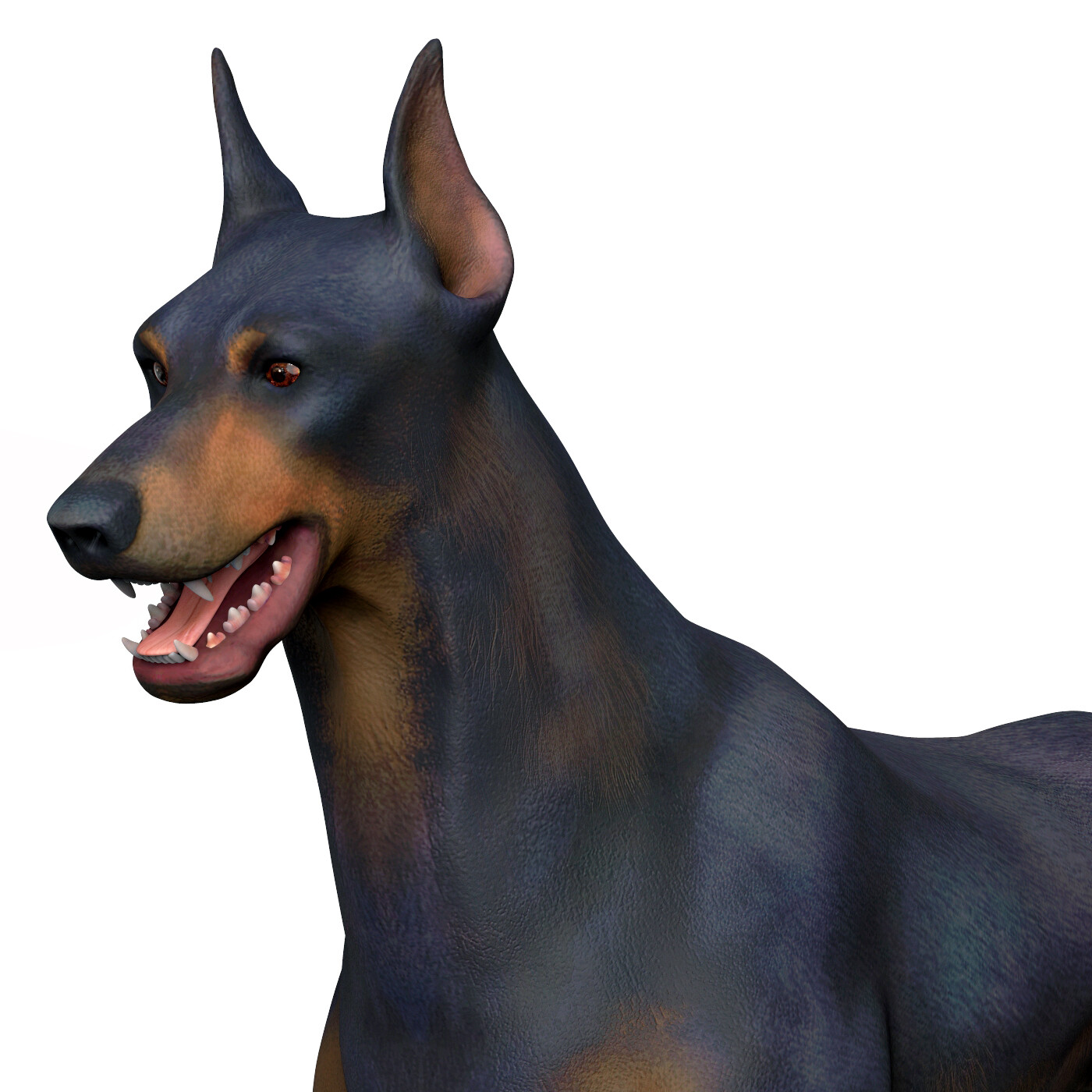Доберман 3d модель. Pepper the doberman 3d. Doberman models. Doberman models. Доберман для 3 д ручки.